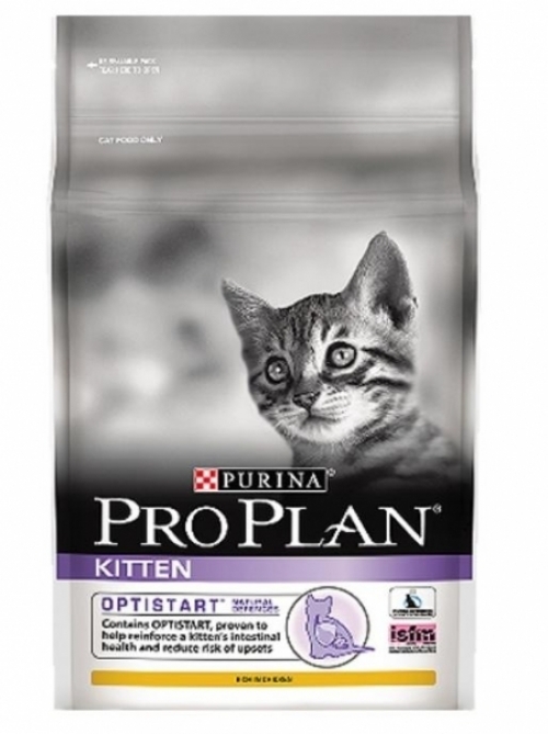 잇썸몰,사료 프로플랜 캣 키튼 1.3kg