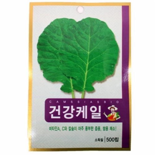 잇썸몰,(set)건강케일 씨앗(500립) 10개