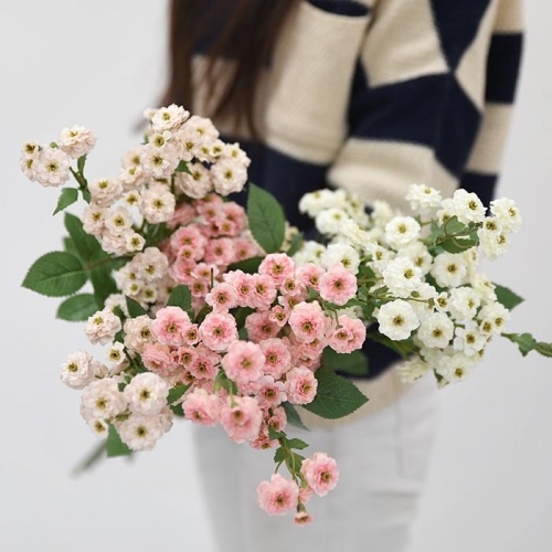 잇썸몰,빈티지 미니 장미 조화