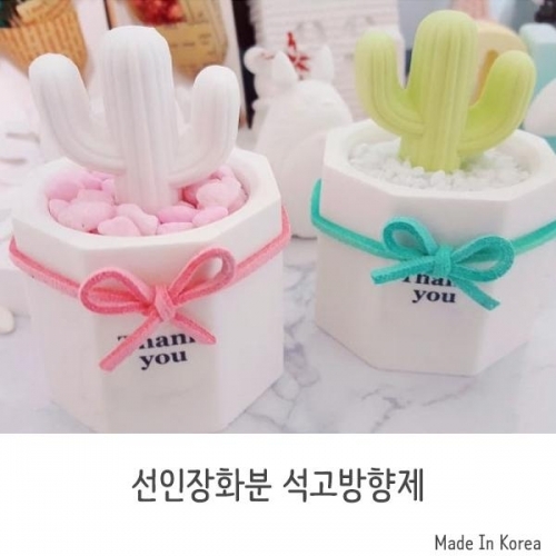 잇썸몰,캐릭터 선인장 화분 석고방향제