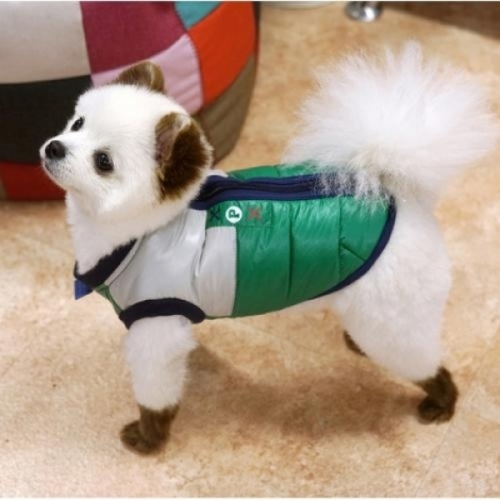 잇썸몰,강아지옷 패리스독 싸인램프 패딩  그린