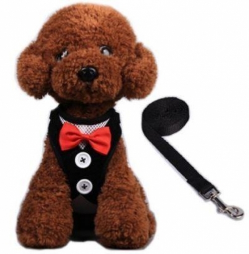 잇썸몰,하네스세트 S(블랙) 강아지옷 애견옷 애견줄