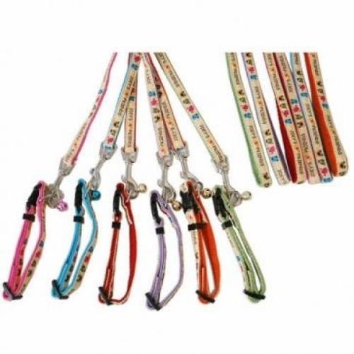 잇썸몰,펫츠컴퍼니 조이 목줄세트 10mm (색상선택가능)