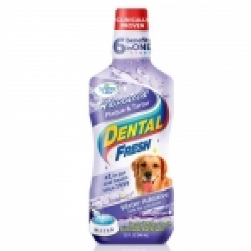 잇썸몰,시너지랩 독 덴탈 후레쉬 어드밴스 프라그.치석 503ml(물에 섞어주는 치약)