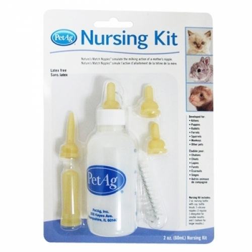 잇썸몰,PetAg 젖병 세트 60ml