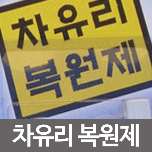 잇썸몰,자동차용 차유리복원제 유리복원 그라스리페어.DIY
