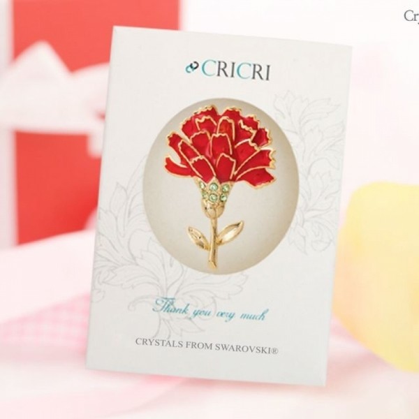 잇썸몰,CRICRI 어버이날 선물용 카네이션 브로치