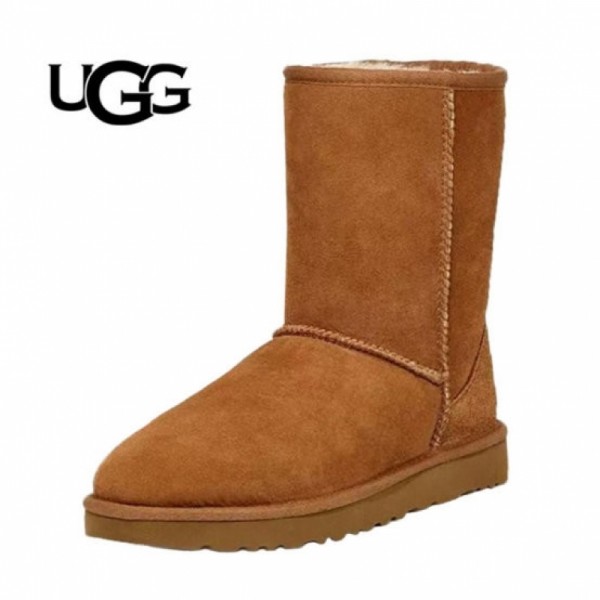 잇썸몰,어그 클래식 쇼츠 II 1016223-CHE